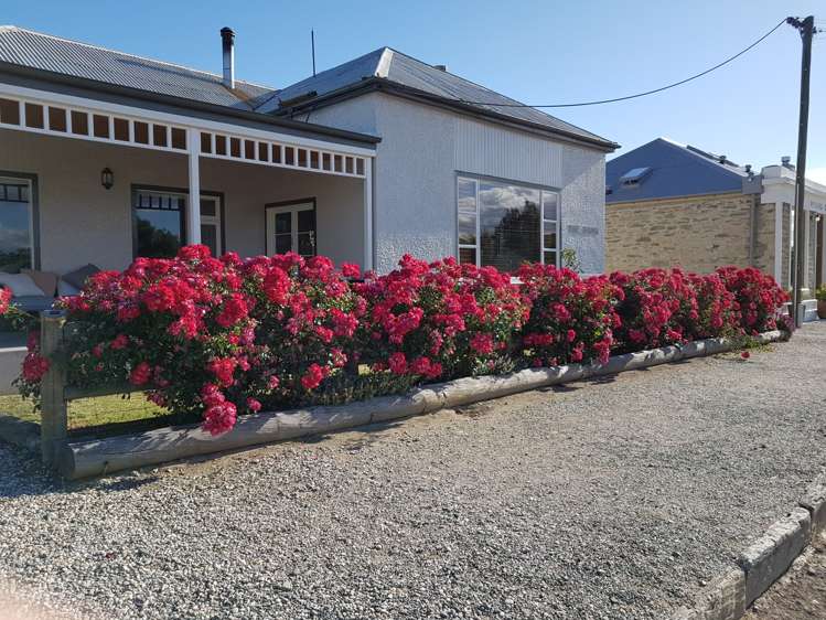 41 Swindon Street Ophir_22