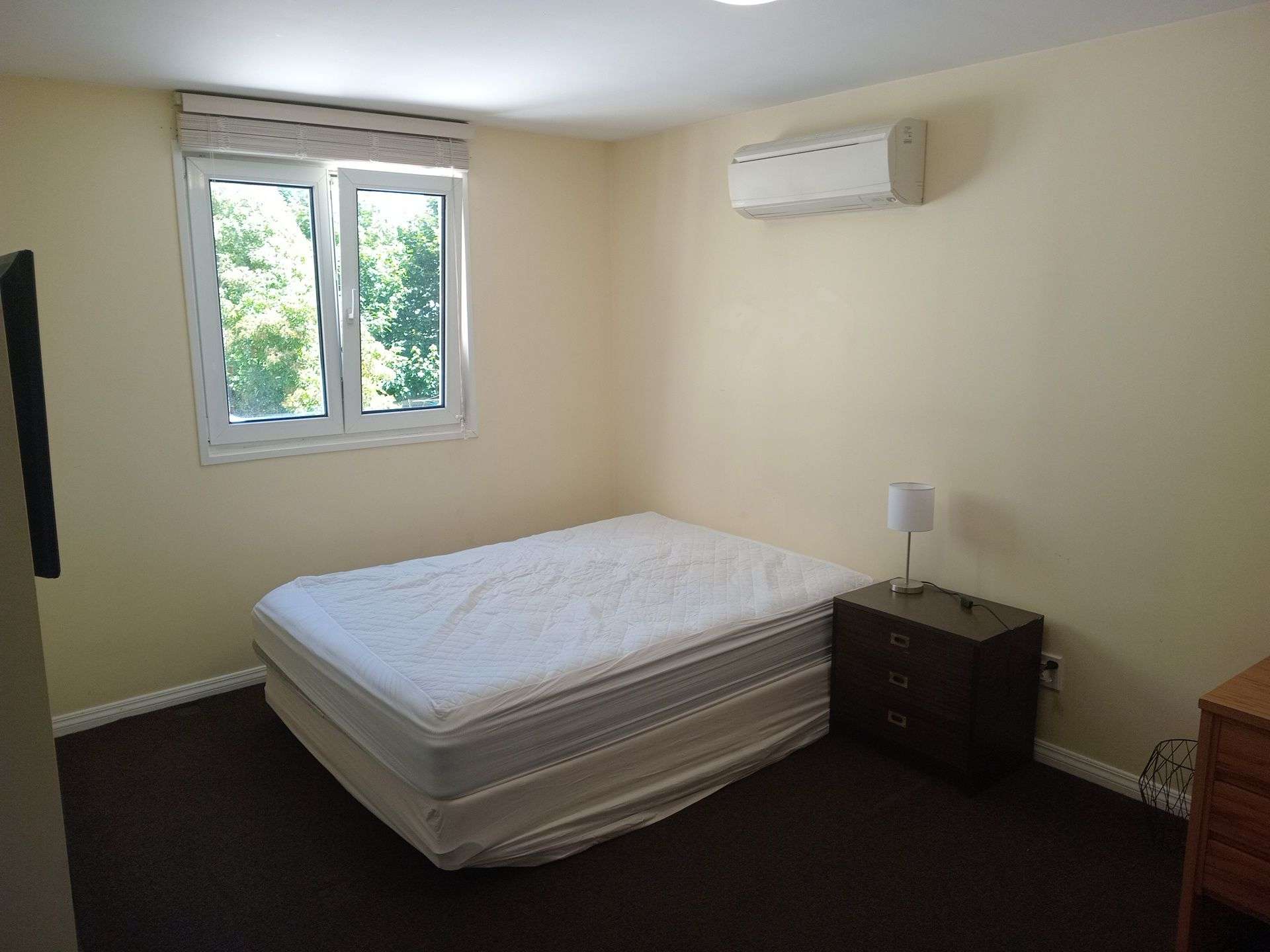 24 Chambers Street North East Valley_0