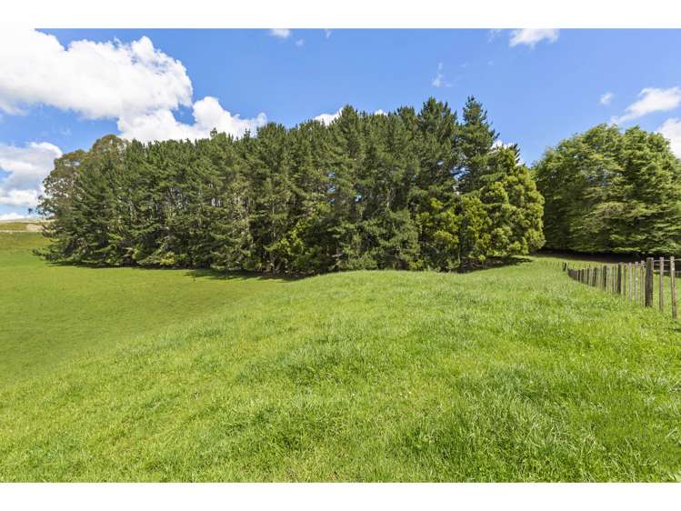 80 State Highway 3 Piopio_28