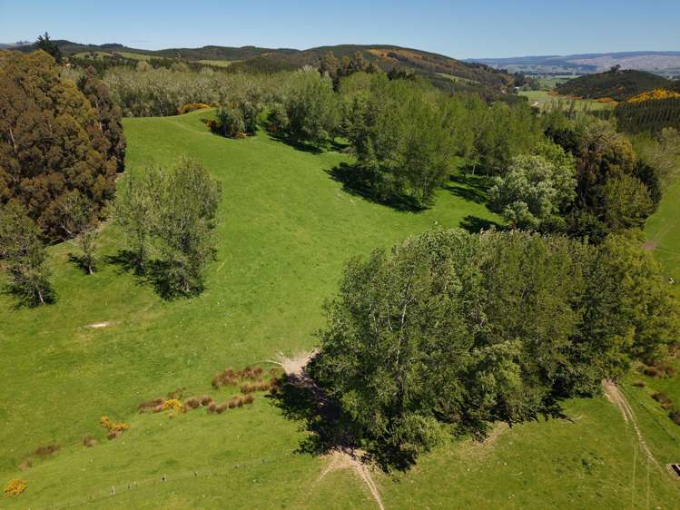 66 Otokia-Kuri Bush Road West Henley_30