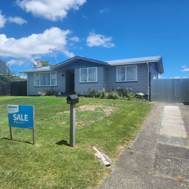 12 Korimako Place Tokoroa_1