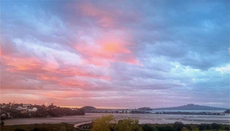 149A Arney Road Remuera_37