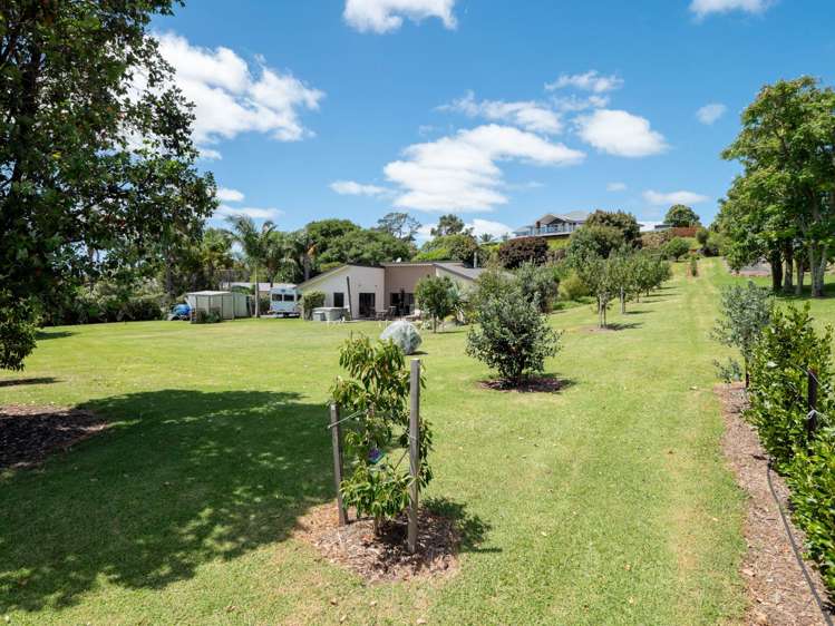 2 Newton  Watts Drive Kerikeri_10