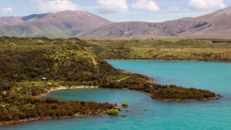 Lagoon Block, Ohau Downs Station Lake Ohau_14