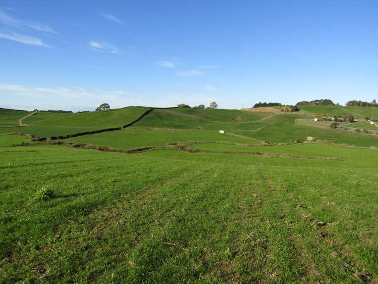 384 Te Pahu Road Te Pahu_3