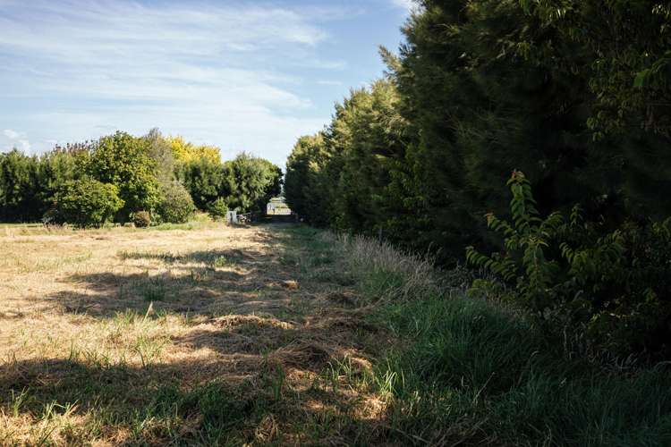 104 Tara Road Papamoa_9