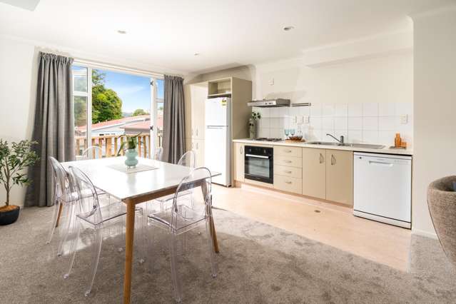 146e Aro Street Aro Valley_4