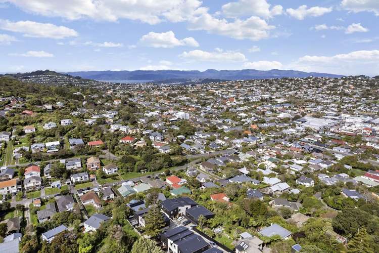 14 Ara Toutouwai Karori_17
