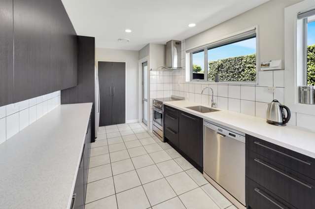 66 Trevor Street Hornby_2