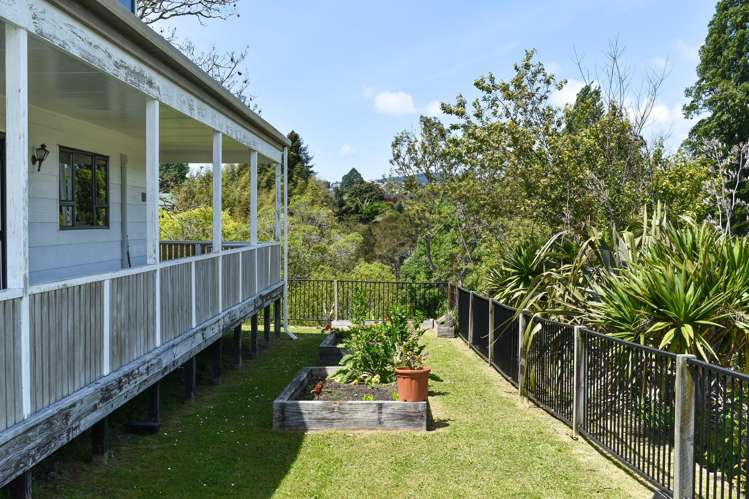 26 Hammond Street Hairini_8