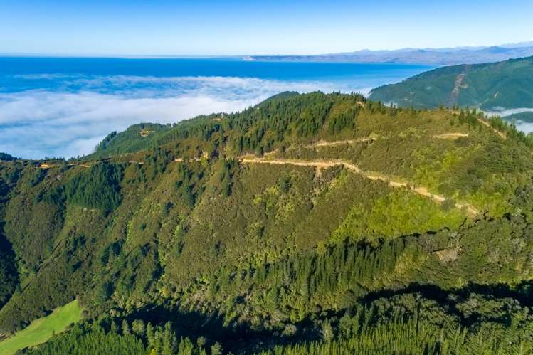 2464 Port Underwood Road Port Underwood_0