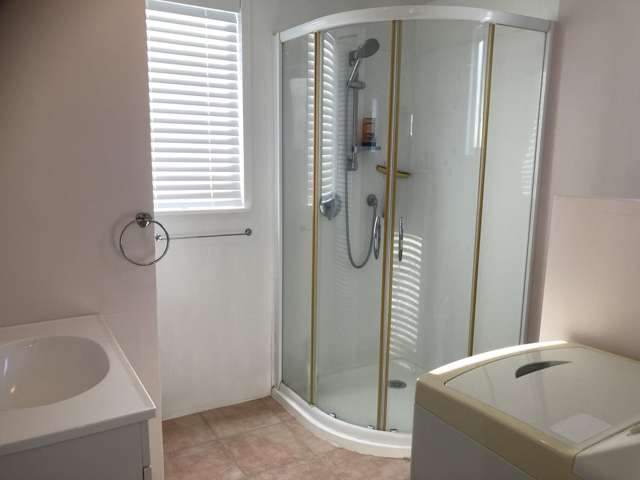 91 Seventh Avenue Urenui_4