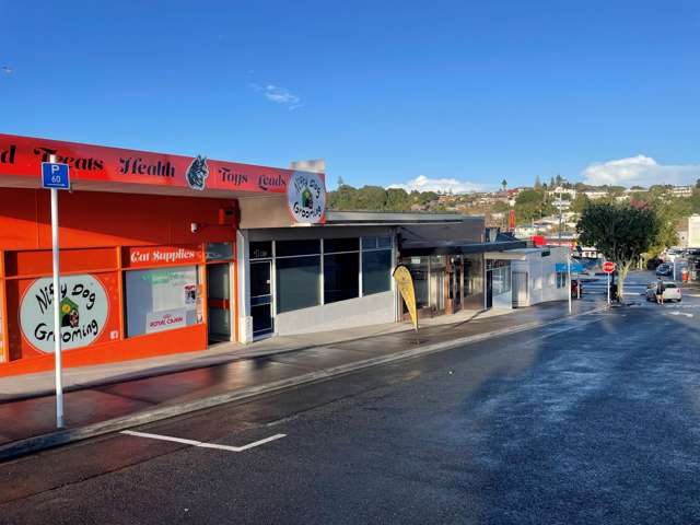 1 Grant Street Te Kamo_1