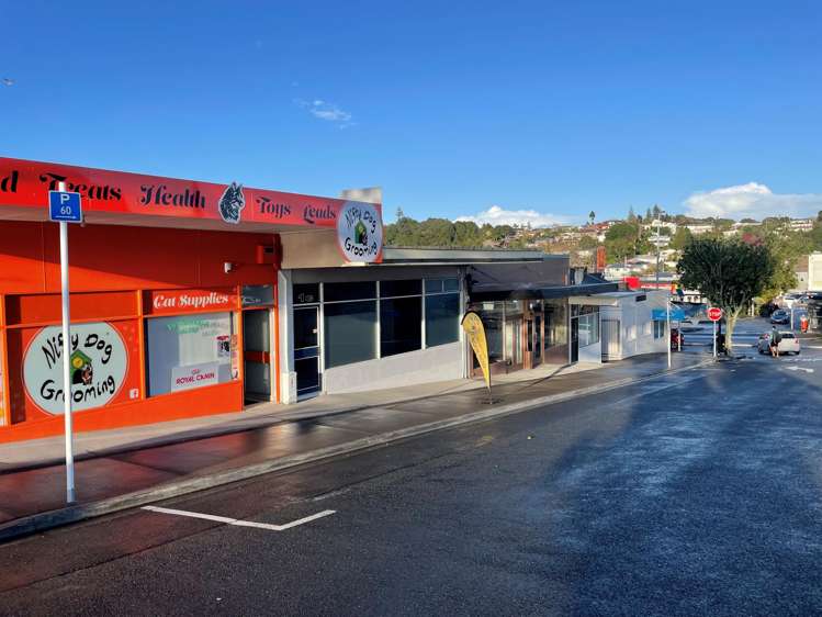 1 Grant Street Te Kamo_1