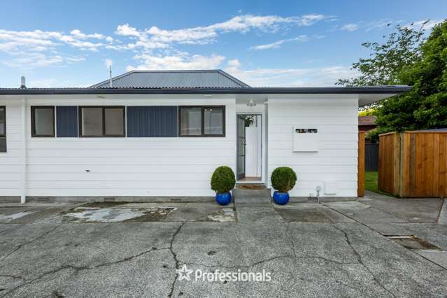 12A Beryl Grove Birchville_3