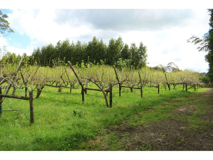 97 Valencia Lane Kerikeri_15