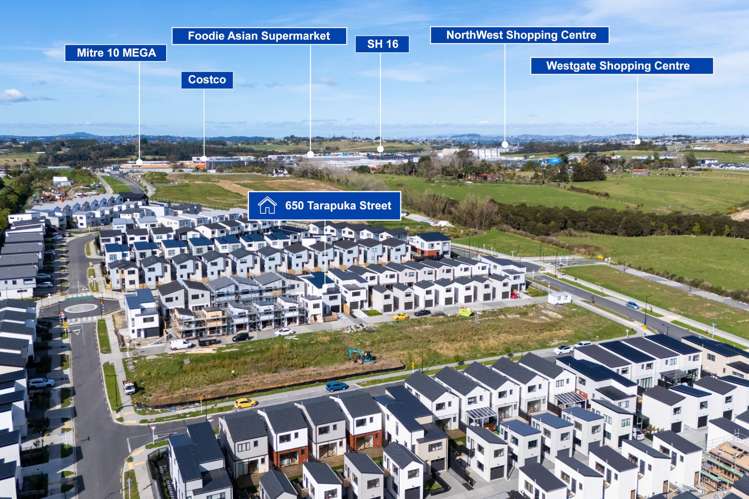 650 Tarapuka Road Westgate_20