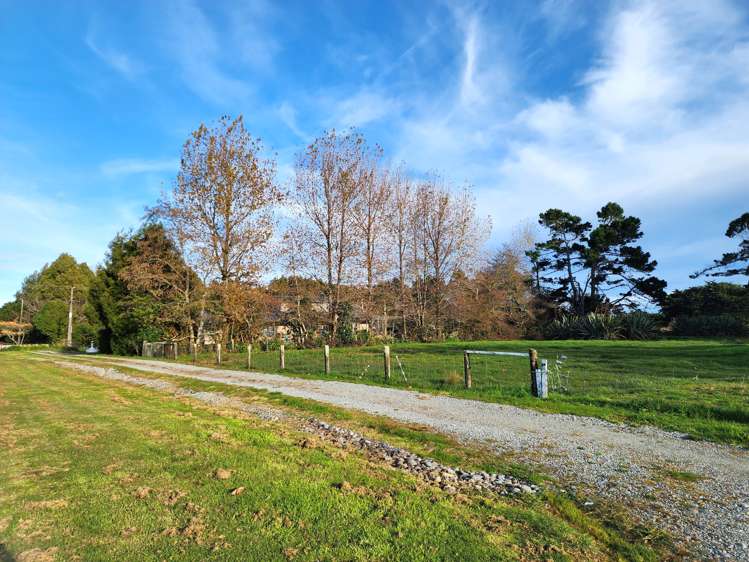 Pandora Avenue Camerons_12