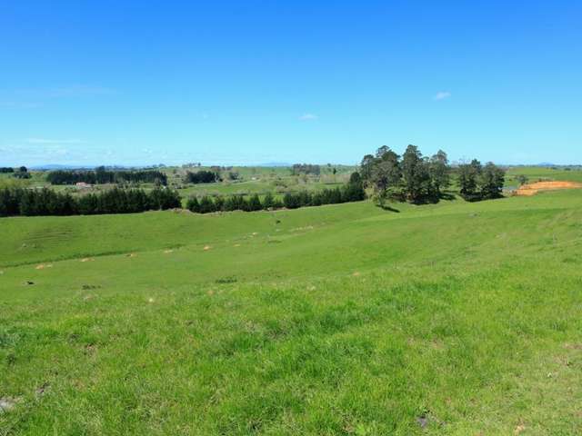 70a Clark Road Ngaruawahia_3