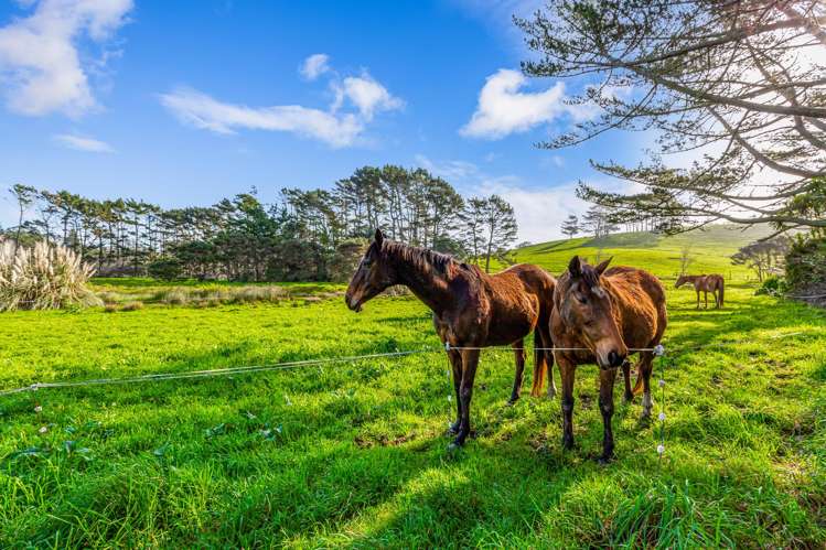 276 Taiapa Road Muriwai_1