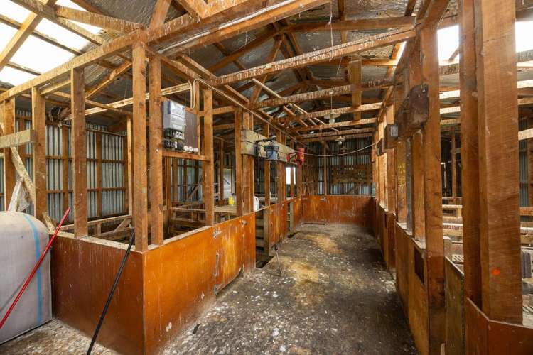 234 Sandon Road Feilding_21