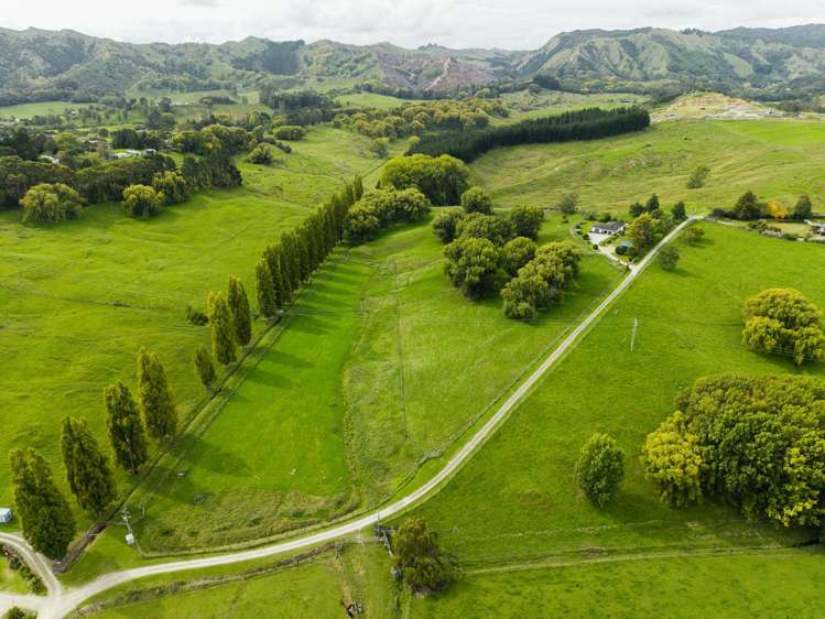 575B Back Ormond Road Makauri_35