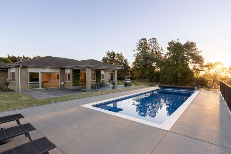 286f Mclaren Falls Road Kaimai_21