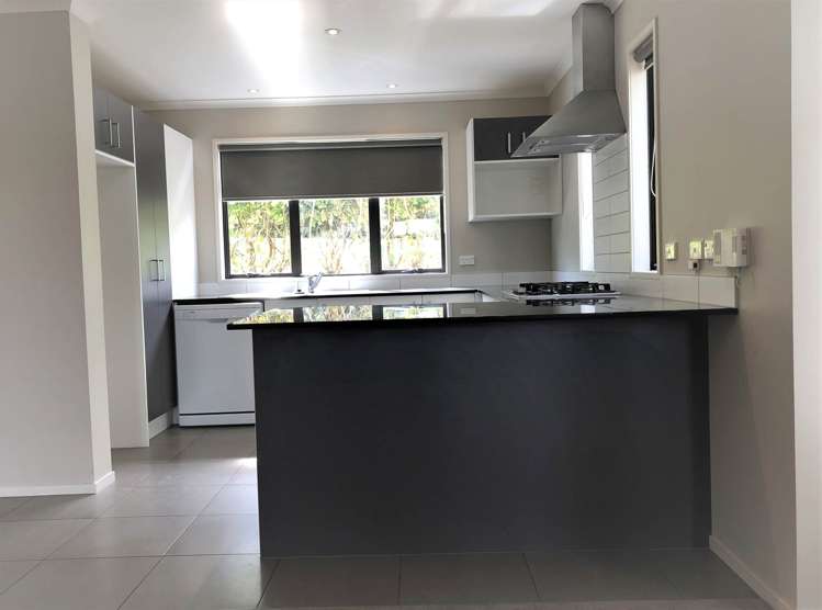 63 Coachman Drive Flat Bush_2