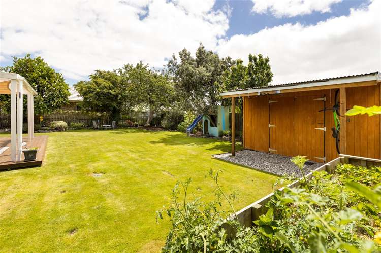 38 Colemans Road Springlands_19