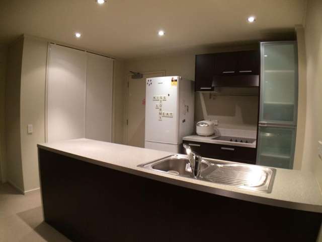 1009/47 Hobson St 10015_2