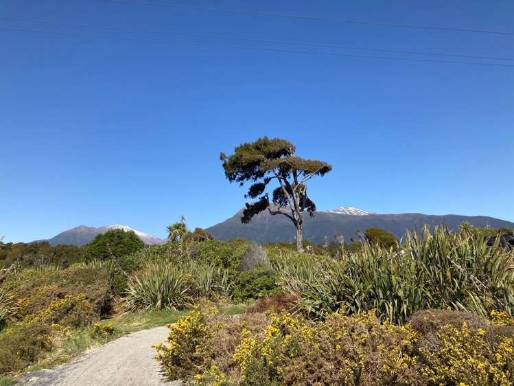 Hannahs Clearing Jackson Bay_3