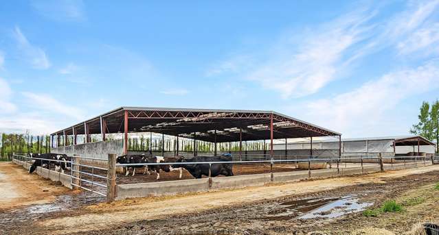 119 The Crescent Road Kaitangata_4