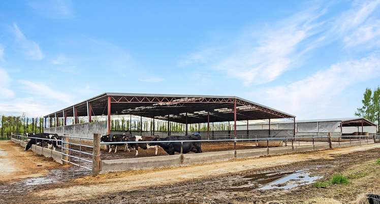 119 The Crescent Road Kaitangata_4