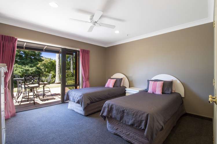 Old Highway Whakamarama_13