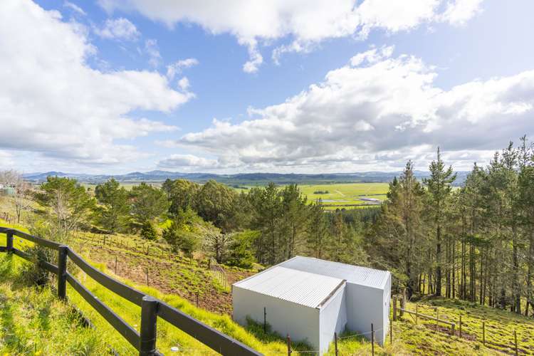 422 Apotu Road Kauri_42