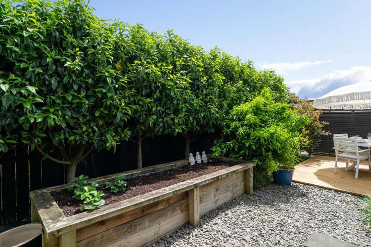 6 Vanda Place Gate Pa_14