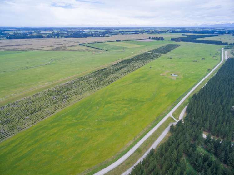 150 Thompsons Road West Melton_5