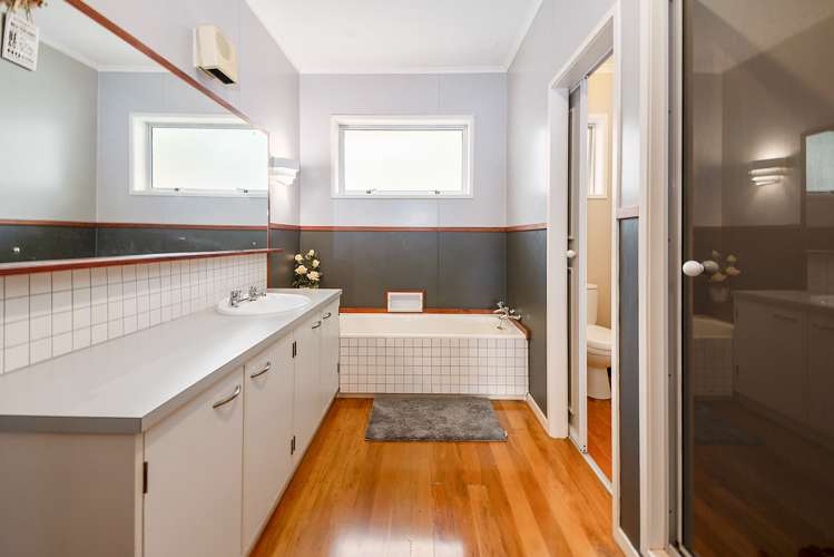 61 Mcdowell Street Springfield_8