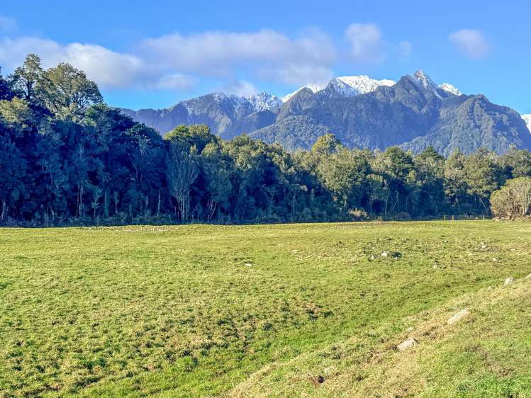 288 State Highway 6 Fox Glacier_8