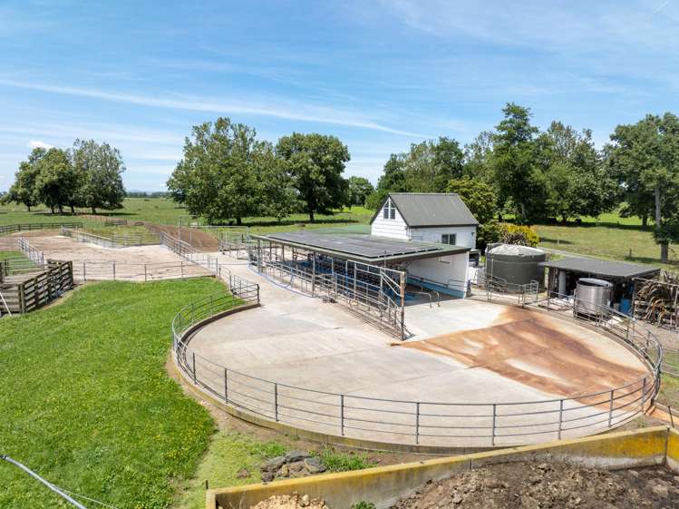 406 Manhire Road Morrinsville_6