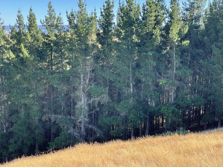 186 Murray Road Lawrence_23