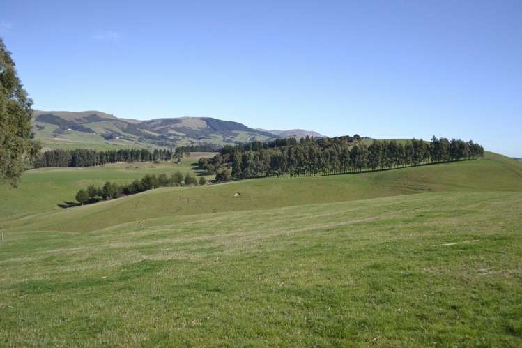 Waitepeka School Road Clutha_5