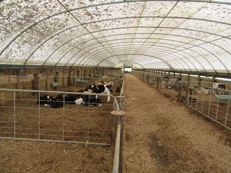 76412 State Highway 2 Rangitikei Surrounds_9