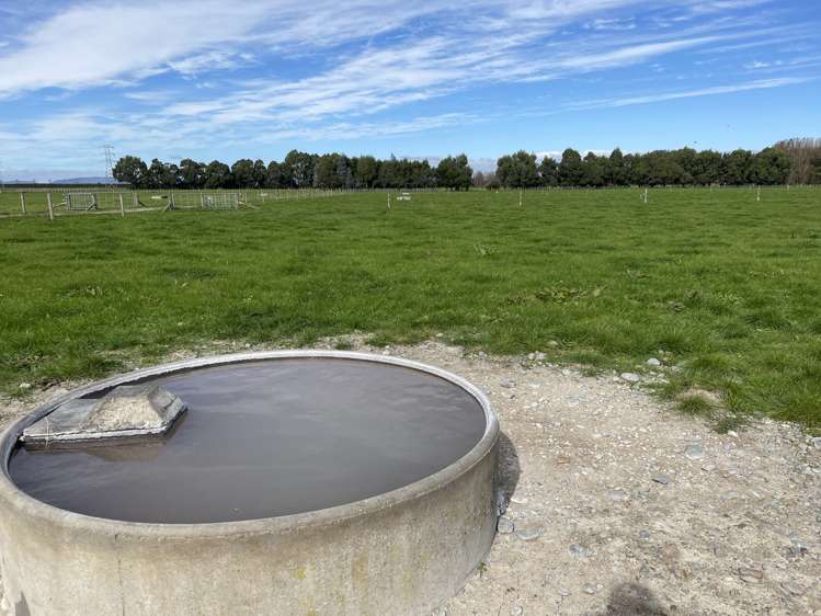 1228 Camerons Line Feilding_9