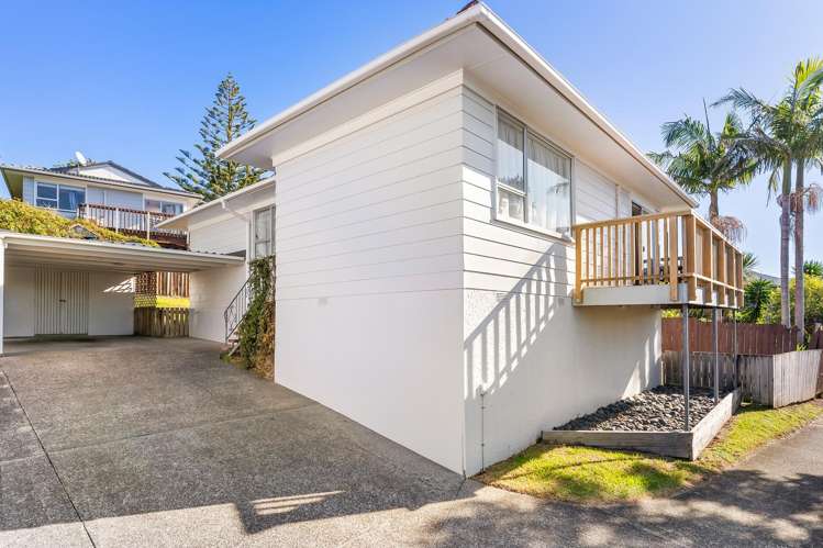 11a Spinella Drive Bayview_10