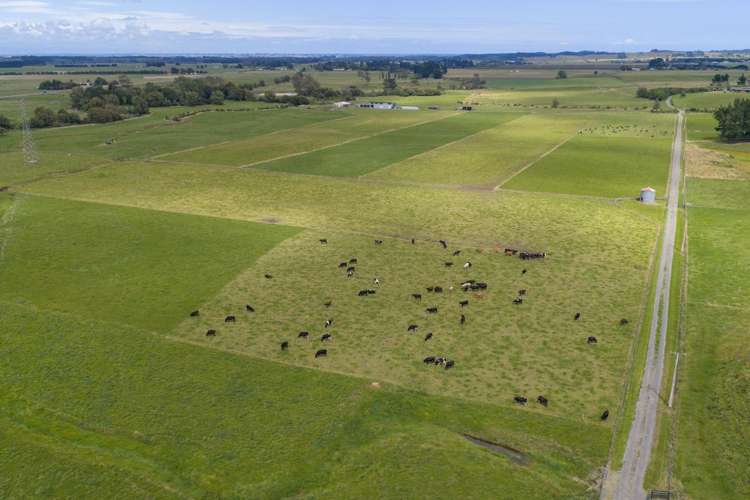 1850 Wellington Road Marton_2