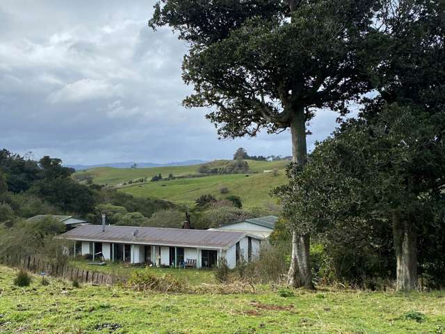 259 Kaipo Flats Road Onewhero_3
