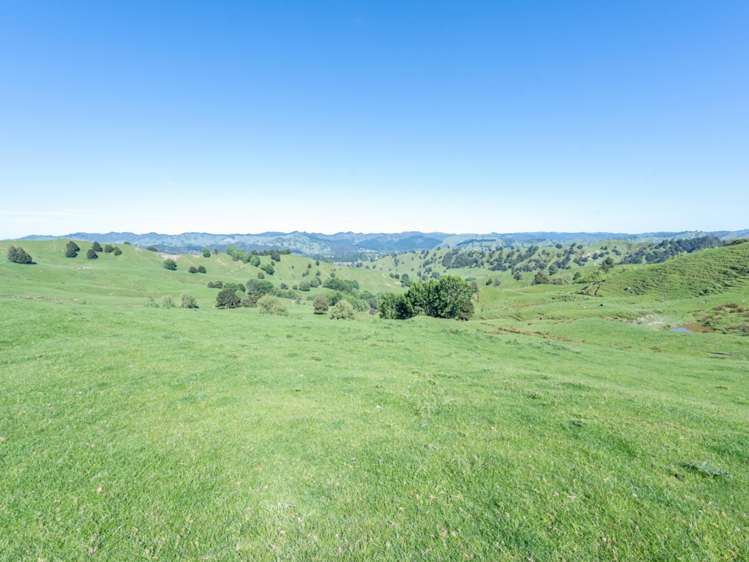 184 Lairdvale Road Taumarunui_21