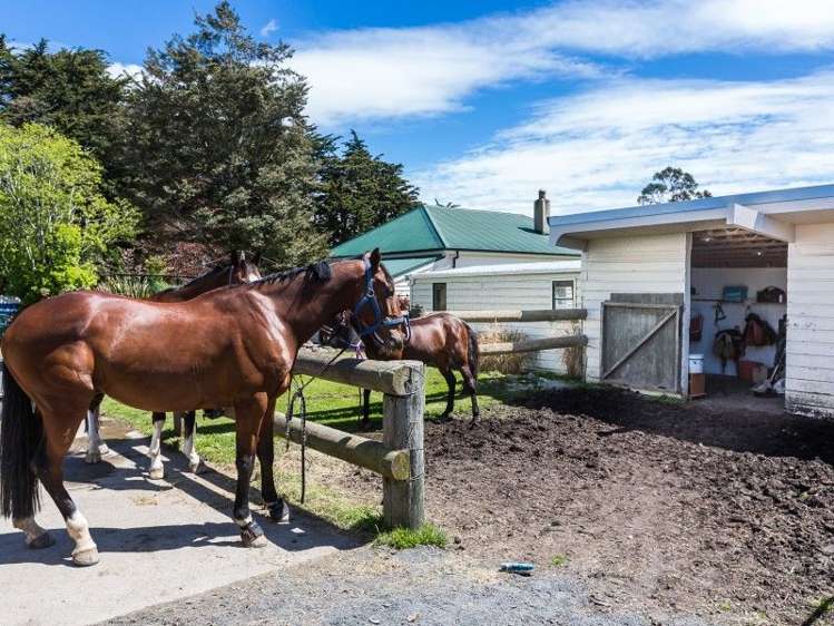 69 Church Hill Road Green Island_22