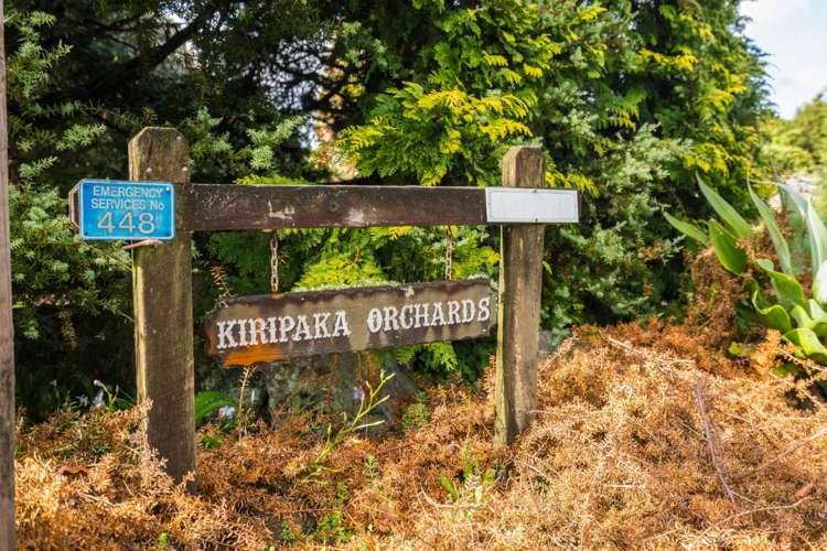 448 Ngunguru Road Glenbervie_19